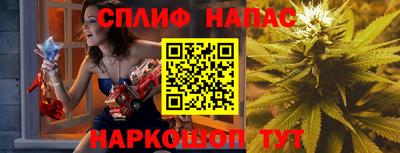 PSILOCYBIN Северобайкальск