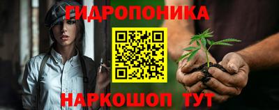 PSILOCYBIN Северобайкальск