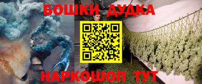 индика Славгород