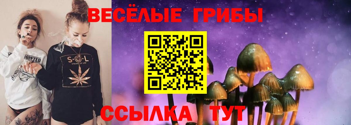 Галлюциногенные грибы Psilocybine cubensis  Псилоцибиновые грибы ЛСД  Пыть-Ях  Вход с VPN 